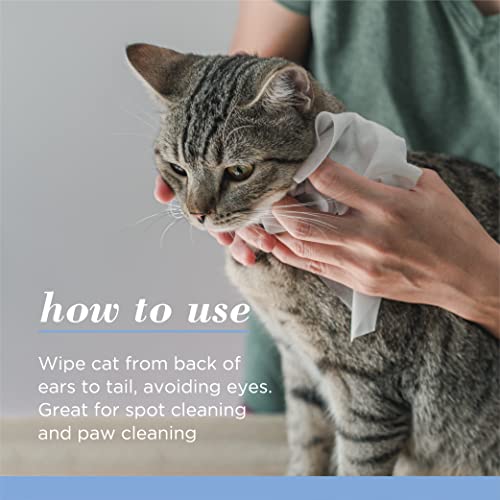 Burt's Bees for Pets Kitten Grooming Wipes with Buttermilk and Honey, Waterless Cat Bath Wipes for Face, Paws, Tail and Co...