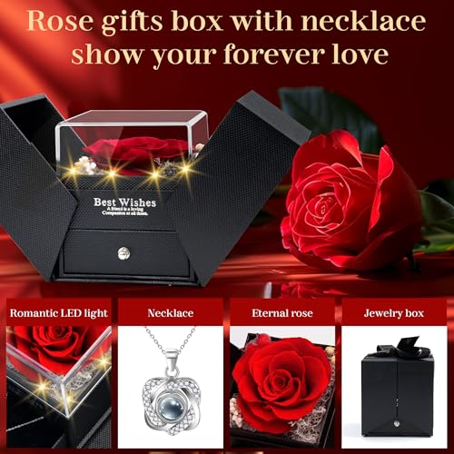 I Love You Necklace 100 Languages, Preserved Rose with Necklace, 925 Sterling Silver Rose Necklace for Women Mom Wife Girl...
