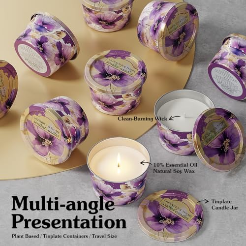 3-Pack Aromatherapy Candle Set - Travel-Size Scented Candles 2.5 oz Each | 10+ Hour Relaxing Long-Lasting Burn | Fragrant ...
