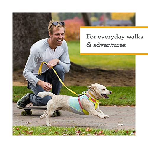 Ruffwear, Hi & Light, Everyday Lightweight Dog Harness, Trail Running, Walking, Hiking, All-Day Wear, Sage Green, Small