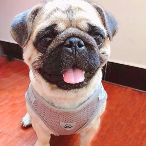 FEimaX Dog Harness and Leash Set for Walking, Soft Mesh Adjustable Easy Control Lightweight Cat Vest Harnesses with Reflec...