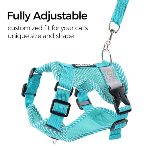 pangdi Cat Harness and Leash Escape Proof Extra Large Kitten Harness Maine Coon Cat Vest for Walking Travel, Turquoise, XL