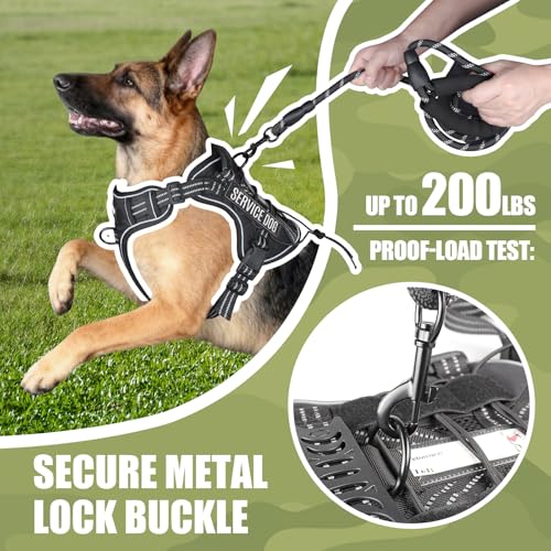 Service Dog Tactical Vest Harness and Leash Set Large Sized Dog Emotional Support- Tactical Dog Harness Training Collar wi...