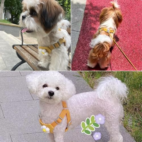 Dog Harness Backpack Cute Small Dog Vest Harness and Leash Set Plaid Soft Mesh Flower Pattern Dog Harness with Adjustable ...
