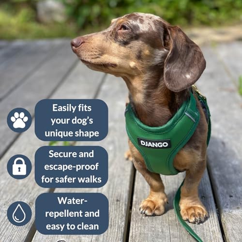 DJANGO Adventure Dog Harness - Stylish and Durable Medium Dog Harness for Outdoor Adventures and Everyday Wear - Forest Gr...
