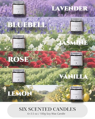 AmyRylan 6 Pack Non-Toxic Soy Wax Scented Candles Gift Set, 21oz 120H Long Burn Time, Amber Jar Candles, Gift for Women Un...