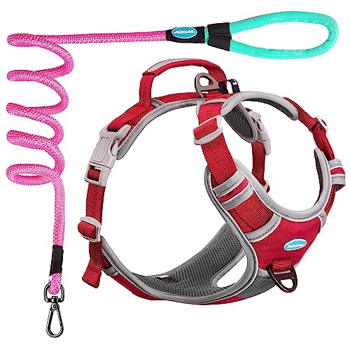 ThinkPet No Pull Harness Set Breathable Sport Harness with Handle - Reflective Padded Dog Safety Vest with Reflective Neon...