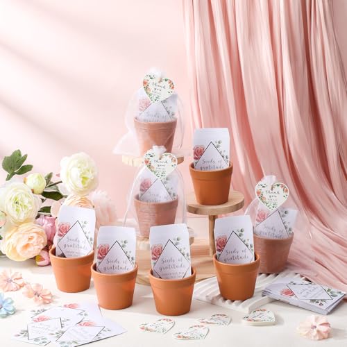 Ctosree 24 Sets Teacher Appreciation Gifts Thank You for All You Do Seed Packets Include Seed Packets Flowerpot Thanks Tag...