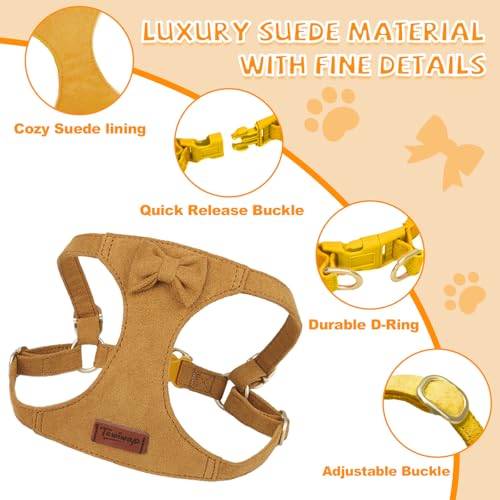Tewiwap No Pull Small Dog Harness and Leash Set, Adjustable Puppy Harness for Extra Small XS XXS Girl Dogs, Soft Suede No ...