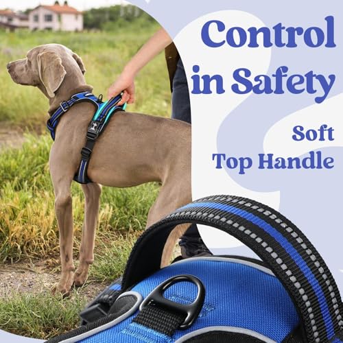 rabbitgoo Dog Harness Medium Sized, No Pull Pet Harness with 3 Buckles, Adjustable Soft Padded Vest with Control Handle, W...