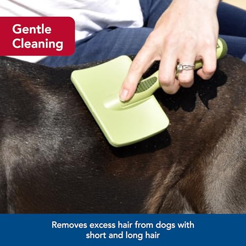 Coastal Pet Safari Dog Soft Slicker Brush - Dog Grooming Brush for Shedding - for Dogs with Short, Medium and Long Hair - ...