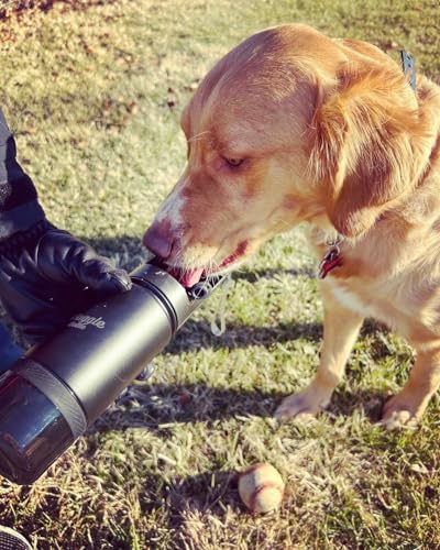 Waggle Bottle Stainless Steel Dog Travel Water Bottle, Vacuum Insulated Portable Dog Water Dispenser, Drink Cup and Snack ...