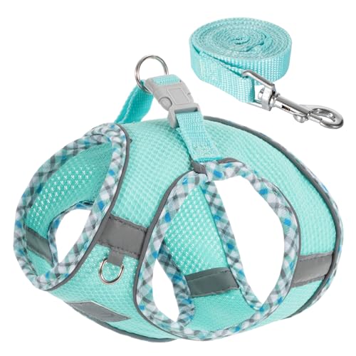 TomteNisse Dog Harness and Leash Set, No Pull Pet Harness for Small Dogs Easy Walking,Soft Breathable Small Dog Harness,Ad...