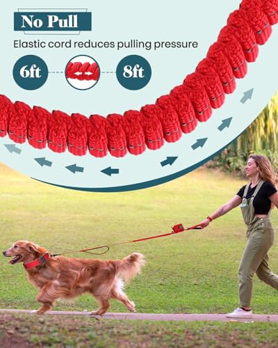 Service Dog in Training Vest Leash Set, Reflective Do Not Pet Dog Harness with Handle and 6 Patches, Full Metal Buckles, f...