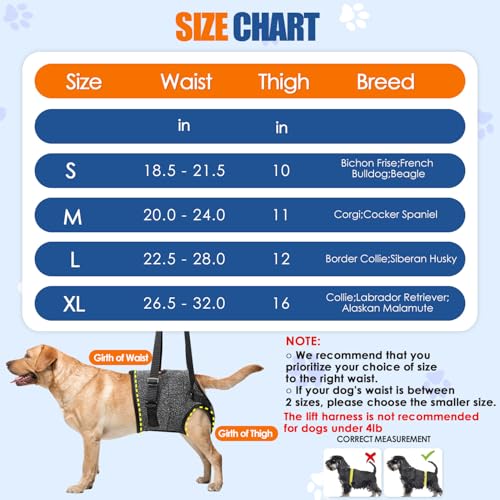 SlowTon Dog Lift Harness - Adjustable Dog Sling for Medium Large Dogs, Hind Leg Support to Help Rehabilitate, Soft Padded ...