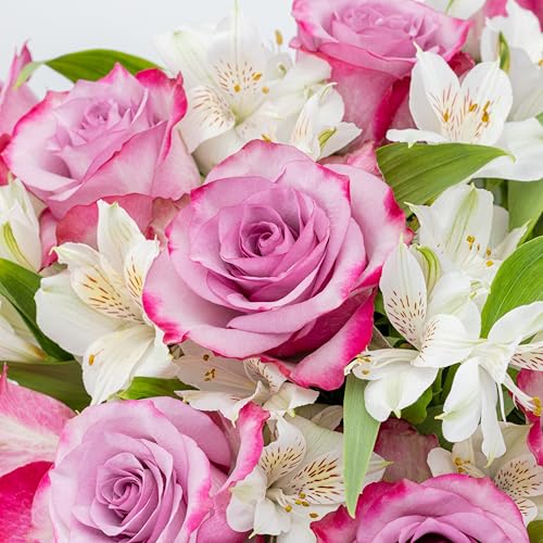 Benchmark Bouquets - Delightful Roses & Alstroemeria (Glass Vase Included) - Fresh Flowers for Delivery - Gift for Graduat...