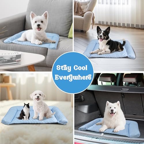 Petmarket Cooling Mat - Thicken Portable & Foldable Mat for Small Cats/Kitten, Non-Slip & Machine Washable, Ideal for Carr...