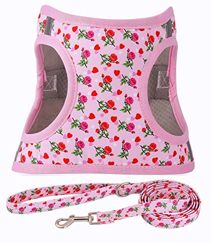 Moonpet Step in Valentine's Day Dog Harness Leash Set- All Weather Reflective No-Pull Floral Pattern Padded Mesh Vest Harn...