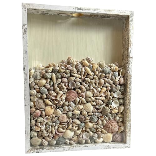 Ticket Shadow Box 11×14 White Top Loading Display Case Frame with Top Slot, Perfect for Movie Travel Concert Sporting Even...