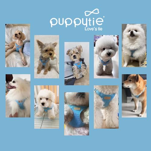 Puppytie No Pull xs Dog Harness with Multifunction Dog Leash,Soft Adjustable No Choke Escape Proof Pet Harness Vest,Ocean ...