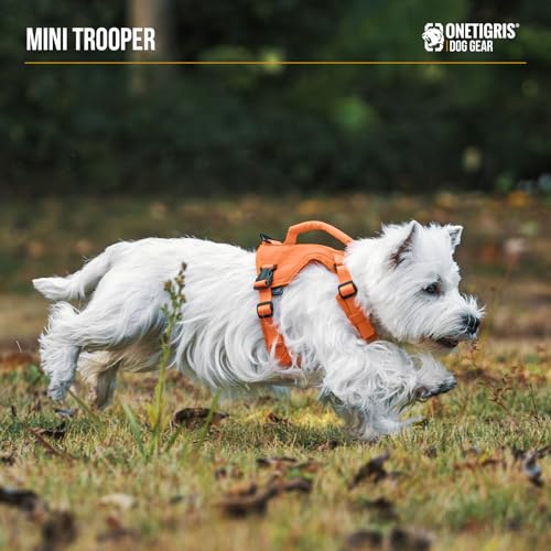 Onetigris Small Harness Dog Harness and Leash Set,MINI Trooper No Pull Dog Vest Fully Adjustable Harness for Puppy Dog and...