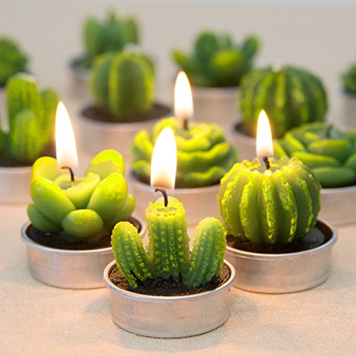 COCOMOON Cactus Tea Light Candles, 6 Pcs Decorative Candles with Artificial Succulents, Unscented, 30 min Burn Time, Moder...