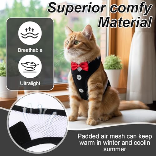 YBEATY Cat Harness Leash Set for Walking Soft Adjustable Cats Vest Harnesses Escape Proof Comfortable Breathable Mesh Kitt...