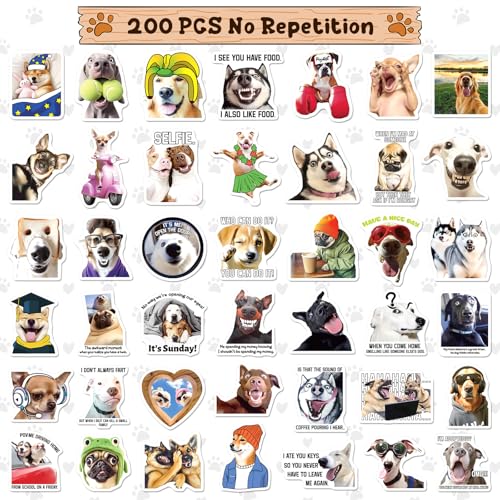 Yqskt 200 PCS Cat and Dog Meme Stickers Pack, Funny Meme Pet Stickers for Water Bottles Car Hard Hat Laptop, Waterproof Vi...
