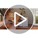 Waterless Essential Oil Diffuser : Plug in Diffuser for Bathroom, Bedroom, Living Room, Kitchen. Daily 12H Timer Intermitt...