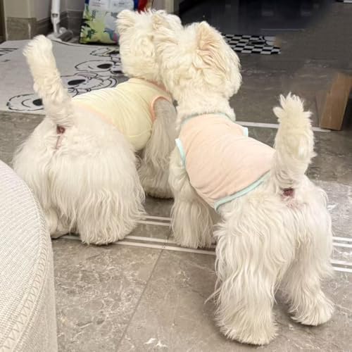 2Pcs Cooling Shirts for Small Dogs, Sleeveless Dog Vest, Lightweight Breathable Dog Summer Tank Top Sun Protection Shirts ...