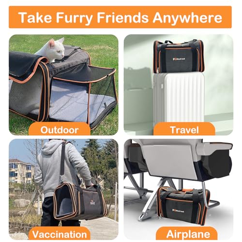 Petinstinct TSA Airline Approved Expandable Pet Carrier, 17"x11"x11" 5-Side Entry Soft-Sided Collapsible Cat Dog Carrier (...