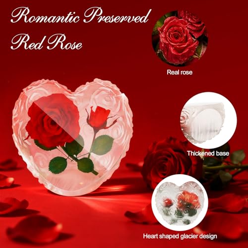 Preserved Roses with Necklace Set & Scented Candle, Mother's Day Gifts for Women Mom Romantic Eternal Flowers Rose Birthda...