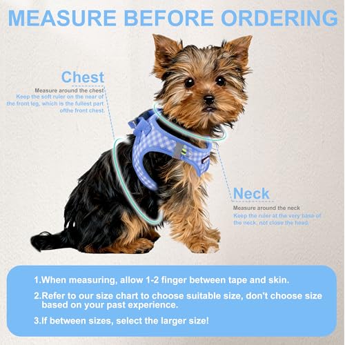 AIITLE No Pull Dog Harness and Leash Set, Step in No Chock Soft Mesh Dog Harnesses Reflective for Extra-Small Puppy Dogs a...