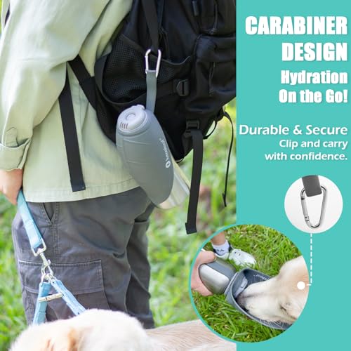 LumoLeaf Portable Dog Water Bottle 27 OZ, Stainless Steel Pet Travel Water Bottle Dispenser for Walking, Hiking and Outdoo...
