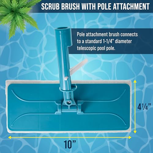 U.S. Pool Supply Hand-Held and Pool Pole Attachment Scrub Brushes - Surface Scrubbing Scouring Sponge Pads - Clean Pool Ti...