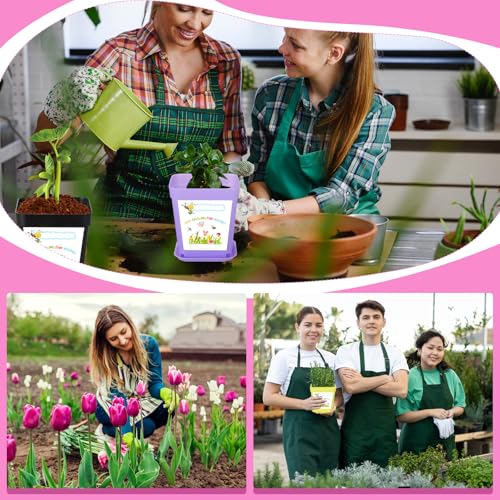 50 Sets Garden Flower Pots Crafts Kit Spring Planting Pot with Pots Trays Wildflower Seed Packets Seed Not Included Sticke...