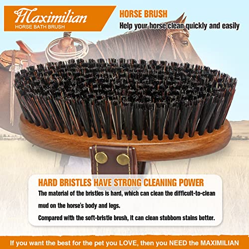 MAXIMILIAN World Class Handmade Equine Stiff Body Horse Brush. Professional Equine Grooming Tools. Effortlessly Removes Mu...