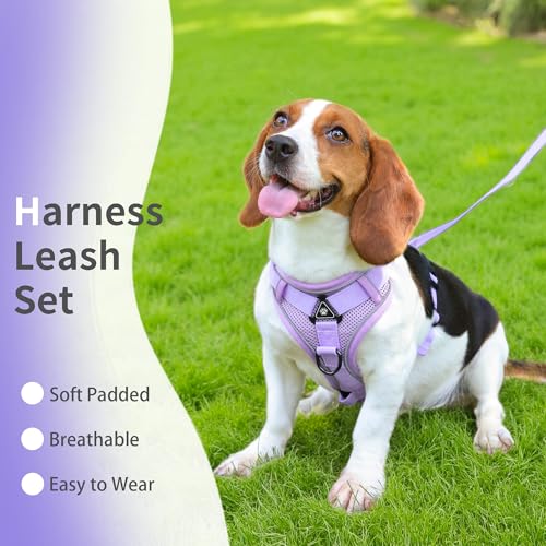 Jolifield No Pull Dog Harness with Leash Set for Small Sized Dog, Reflective Adjustable No Choke Front Clip Cat Vest Harne...
