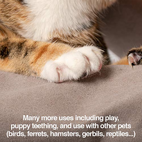 PetFusion Multipurpose Pet Glove for Grooming, Trips to Vet, Handling. [Puncture & Scratch Resistant, Water Resistant]. 12...