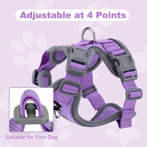 HIMNESEYO Small Dog Harness and Leash Set，No Pull Adjustable Pet Harness for Small Dogs ，Breathable Mesh Reflective Dog Ve...