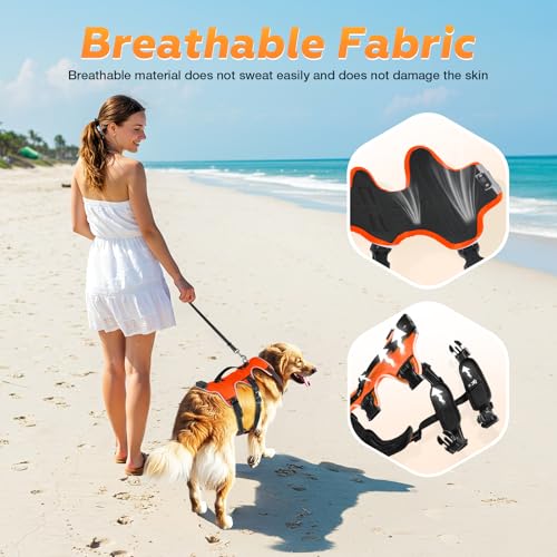 Fiveda Light Up Dog Harness LED Dog Vest - USB-C Rechargeable RGB 9-LED, Slow/Fast Rainbow Modes, Reflective No-Pull Harne...