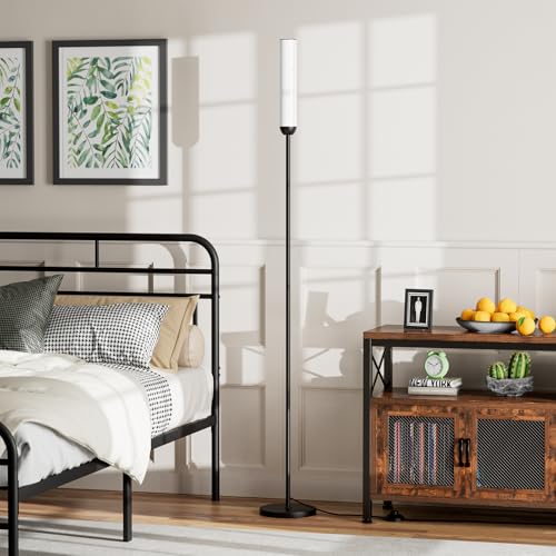 Ambimall LED Floor Lamp with Remote Control, 65" Standing lamp with Stepless Adjustable 3000K-6500K Colors & 30-100% Brigh...