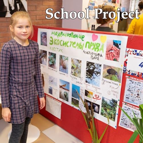 pmybupo 50PCS White Poster Board 22"X28",Value Poster Board for School Craft Project Presentation Drawing Graphic Display,...