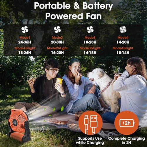 Deller Portable Camping Fans, Battery Operated Fan with LED Light 4 Speeds & Hook, Cordless Battery Powered Fans for Tent ...