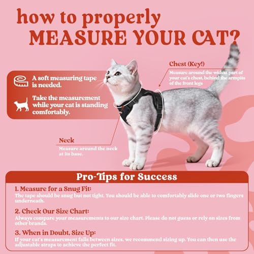 rabbitgoo Cat Harness and Leash for Walking, Escape Proof Soft Adjustable Vest Harnesses for Cats, Easy Control Breathable...