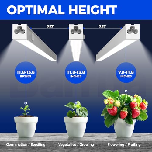 Barrina T5 Grow Lights for Indoor Plants, 5000K Full Spectrum, 1FT LED Growing Lamp, Plant Light Strip, for Seed Starting,...