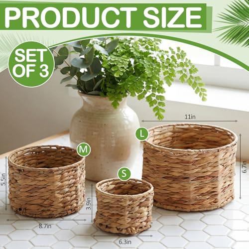 Newtay Set of 3 Scalloped Wicker Storage Baskets with Lid Round Rattan Woven Basket 11'' 8.7'' 6.3'' Natural Water Hyacint...