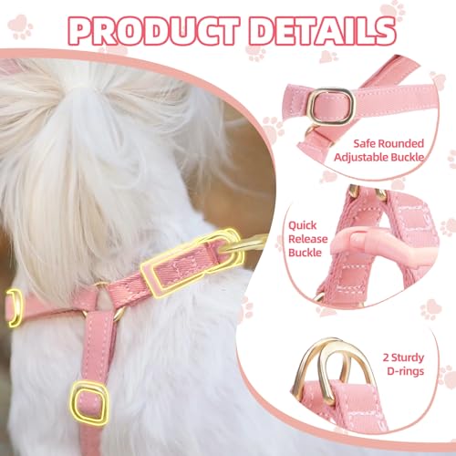 PUPTECK Dog Harness and Leash Set Small Sized, Lightweight Step-in Puppy Harness, Escape Proof No Pull Cute Pet Vest Harne...