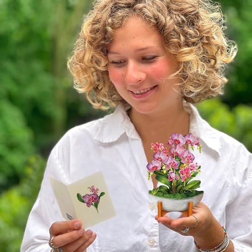 Freshcut Paper Pop Up Cards, Mini Orchid Oasis (Set of 2), 6 Inch Mini Sized Forever Flower Bouquet 3D Popup Greeting Card...