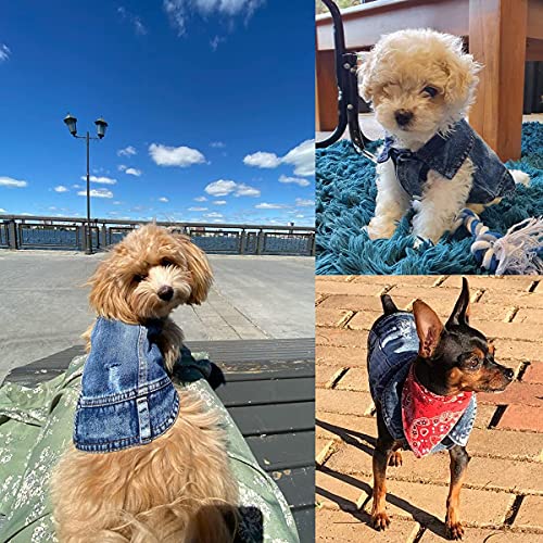 Jean Jacket, Blue Denim Lapel Vest Coat Costume, Dog & Cat T-Shirt Clothes, Cool & Funny Apparel Outfits, Machine Washable...